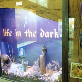 Library display 1978