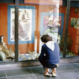 Library display 1979