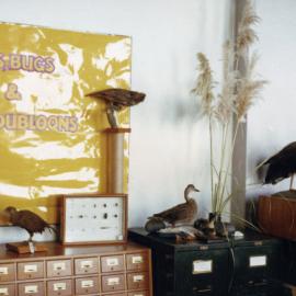 Children's Library display