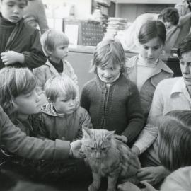 Cat in the Children's library 