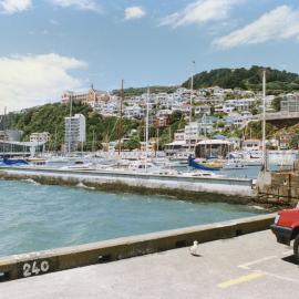 Mt Victoria and Oriental Bay 