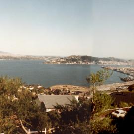 Wellington from Wadestown 