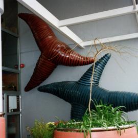 Starfish, Robert Jesson