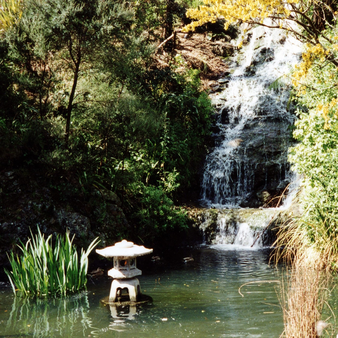 Peace Flame, Wellington Botanic Gardens
