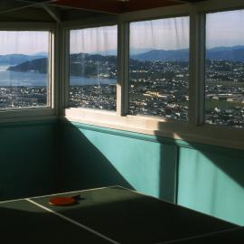 View over Kilbirnie & Rongotai