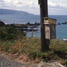 Letterbox above Island Bay