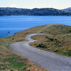 Whitireia Park, Tītahi Bay
