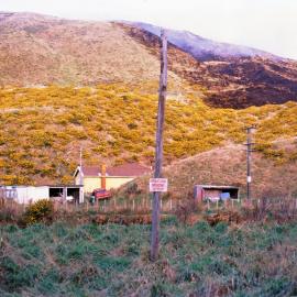 Hydatids Dog Dosing Strip, Makara