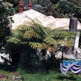 Unidentified location in Wellington