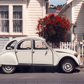 196 & 198 Rintoul Street, Berhampore