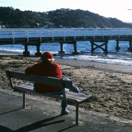 Seatoun Wharf