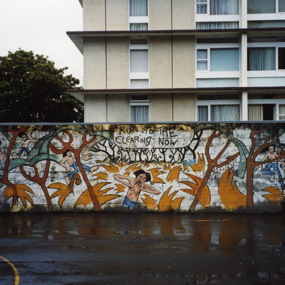 Aro Valley Community Centre (Mural)