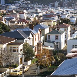 Rixon Grove, Mt Victoria