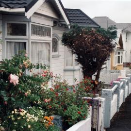 Rintoul Street, Newtown