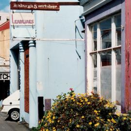 3 & 5 Roxburgh Street, Mt Victoria