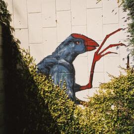 Mural, YHA Wellington City 