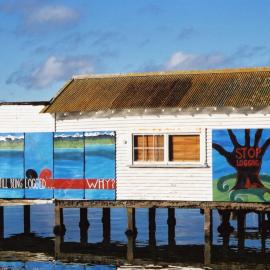 Okarito Forests Mural, Hataitai