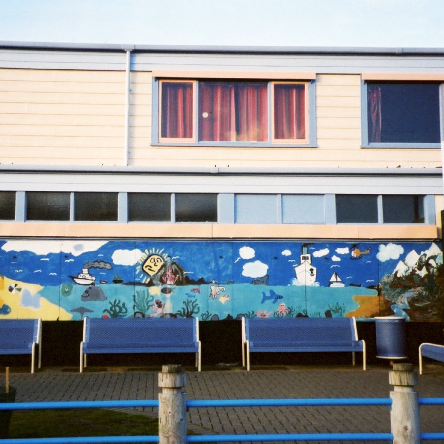 Island Bay School murals