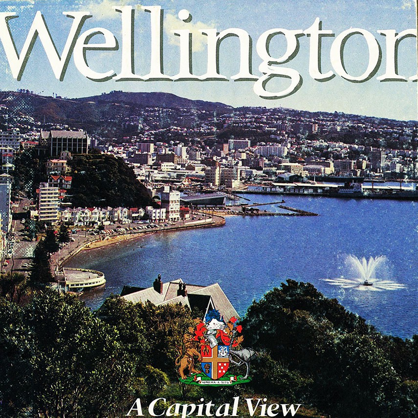 Wellington : A Capital View