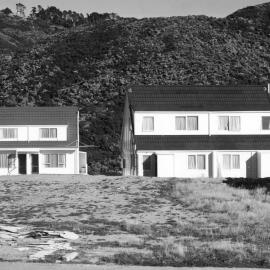 Colorado Grove, Brooklyn 