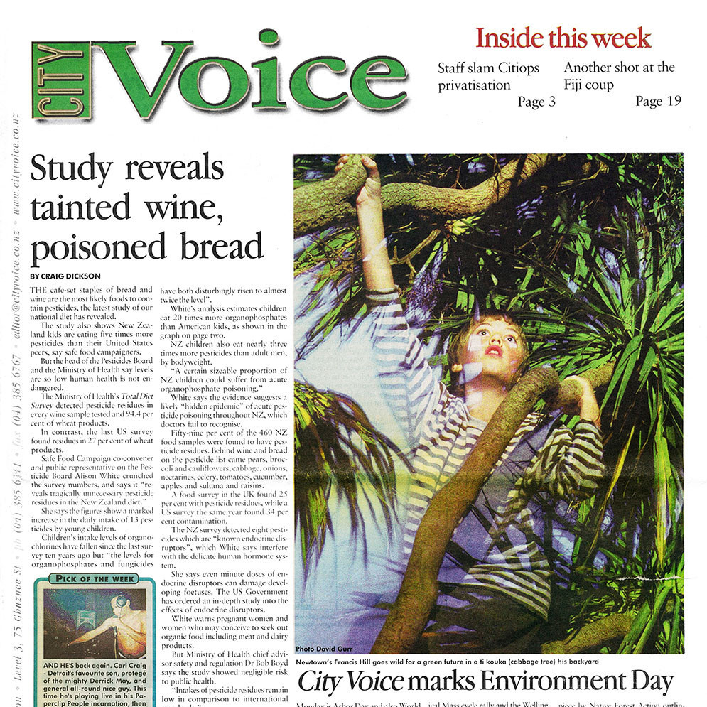 City Voice, 1st June 2000