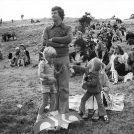 Kite flying at MacAlister Park, Berhampore