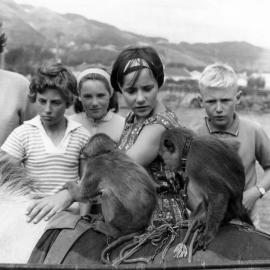 Travelling circus in Woburn, Lower Hutt