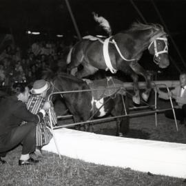 Bullen's Circus, Newtown