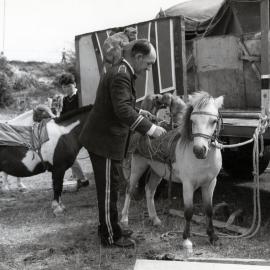 Travelling circus in Woburn, Lower Hutt