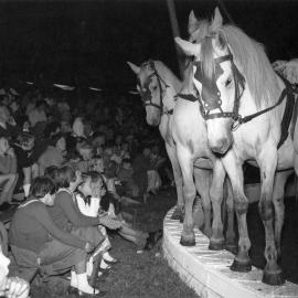 Bullen's Circus, Newtown