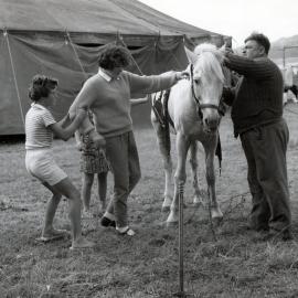 Travelling circus in Woburn, Lower Hutt
