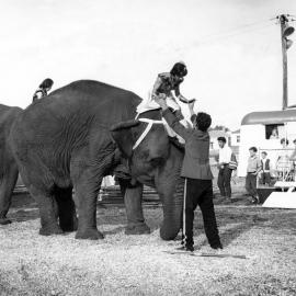 Bullen's Circus, Newtown