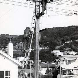 Linesmen in Karori