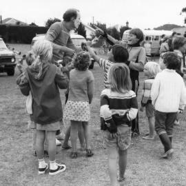 Ben Burn Park, Karori