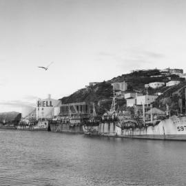 Squid boats at Miramar Wharf 