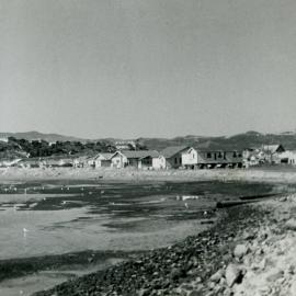 Relocated houses along Rongotai Road