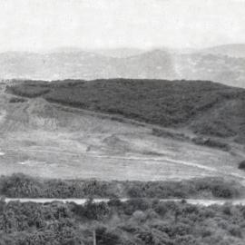 Excavations near Wexford Road