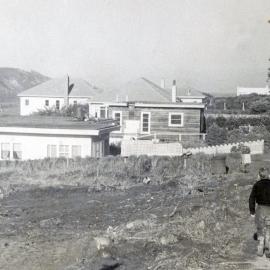 Rongotai Terrace (upper path)