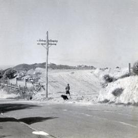 Empty lots on Rongotai Terrace