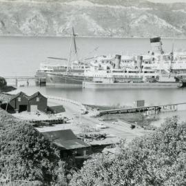 Ships at Evans Bay 
