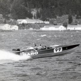 Speedboat in Evans Bay