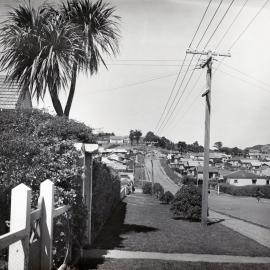 Cooper Street, Karori
