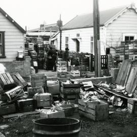 7 Alfred Street, Mt Cook