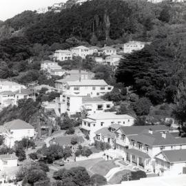 Houses in Oriental Bay 