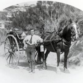 Milk delivery in Karori 
