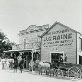 Raine's General Store