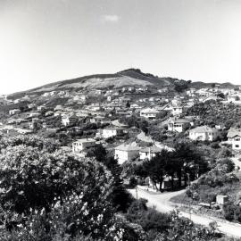 Curtis Street and Creswick Terrace