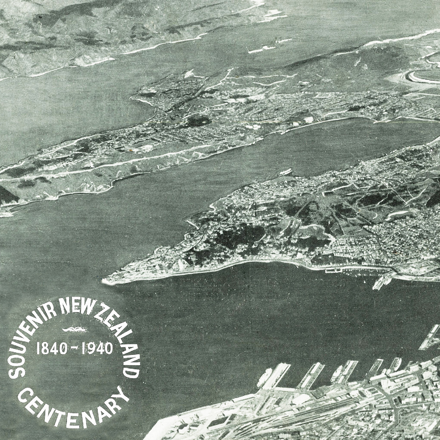 Wellington from the Air