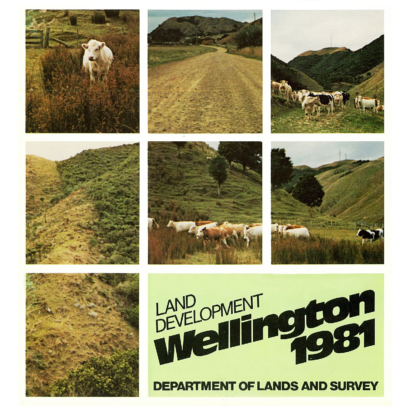 Land Development: Wellington 1981