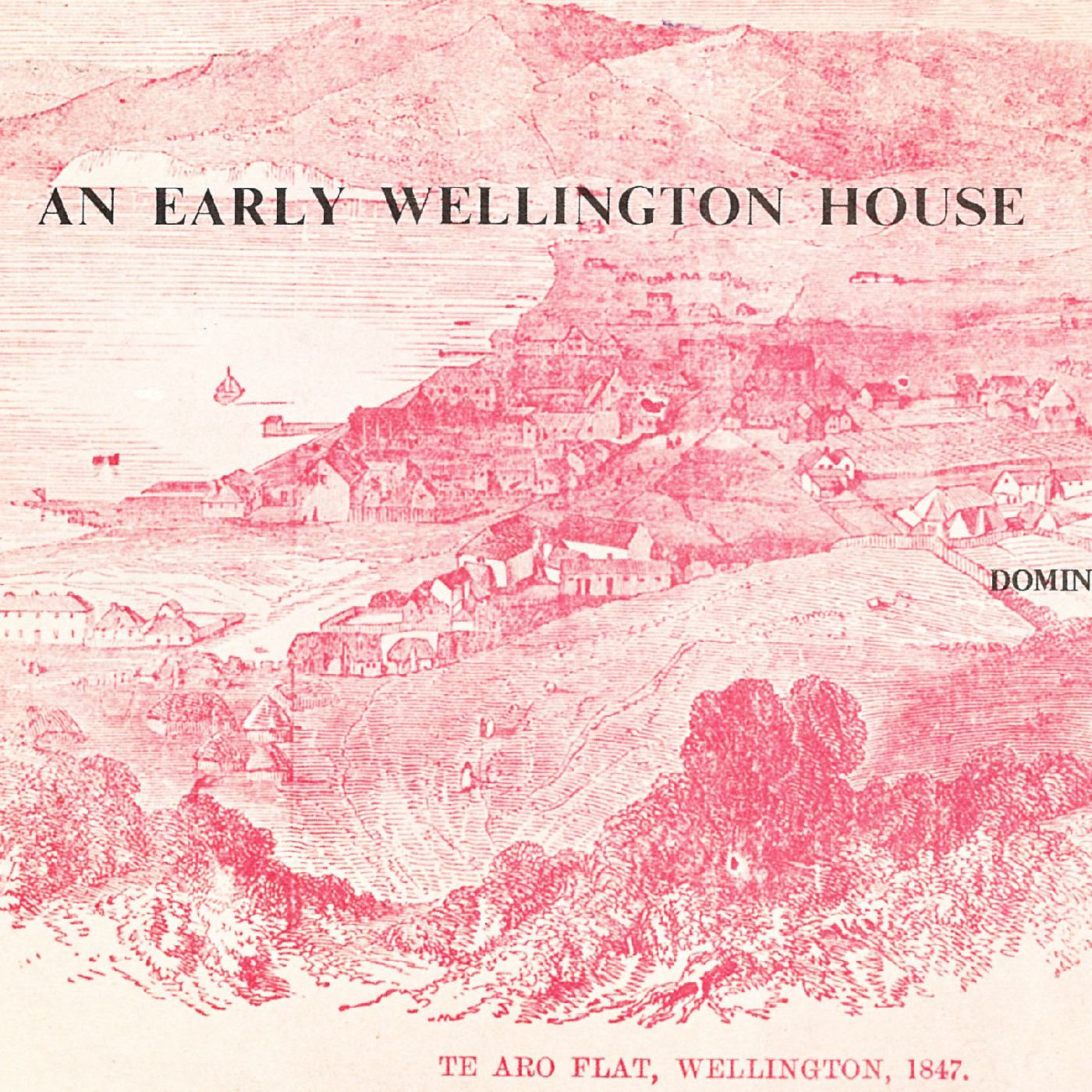 An Early Wellington House